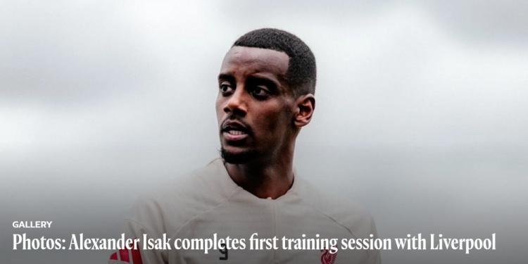 ue, net, 弗林蓬也出