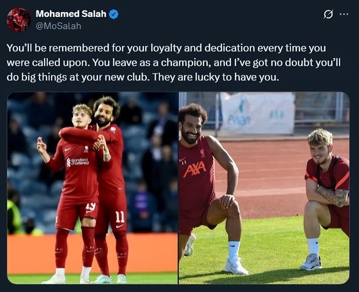 维尔茨的处, 批评, 彻底撤掉了